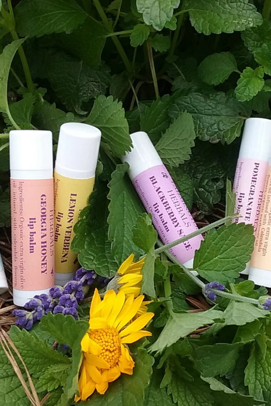 Lip Balm