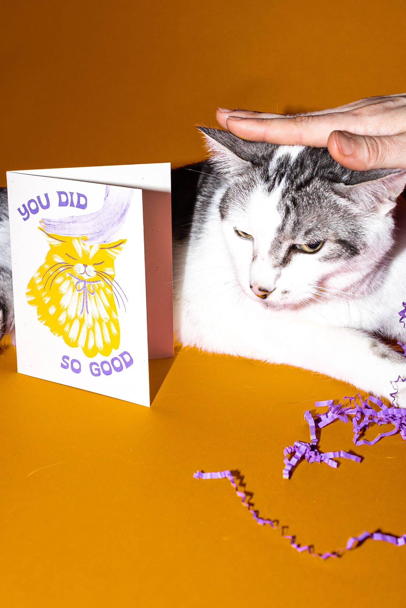 You Did So Good Cat Greeting Card