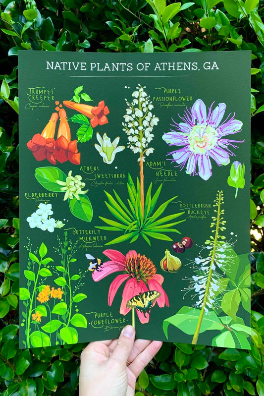 Native Plant Print