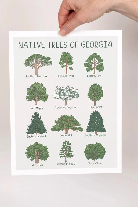 Native Trees of Georgia Print