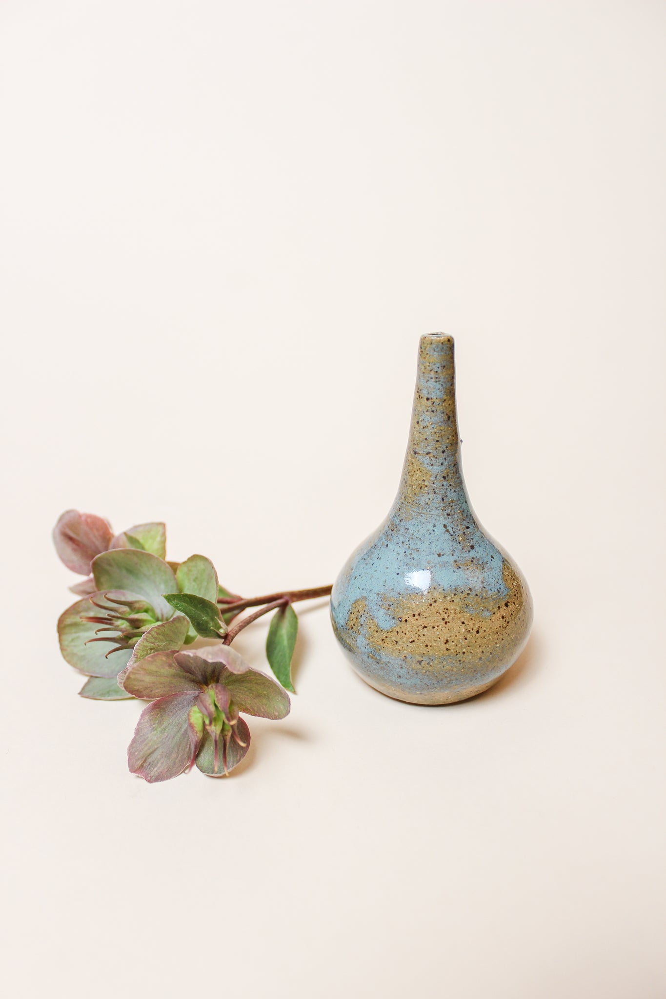 Ceramic Bud Vase Arrangements – Native Poppy